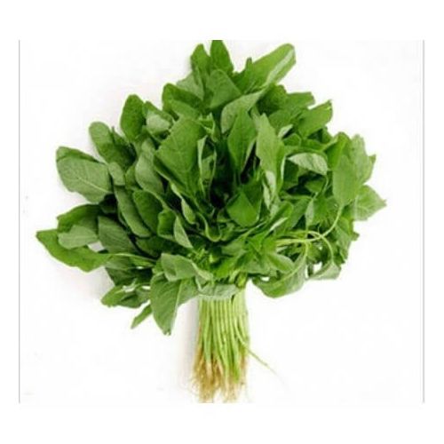 ARAI KEERAI (AMARANTHUS ARITIS ) ARAI KEERAI (AMARANTHUS ARITIS )