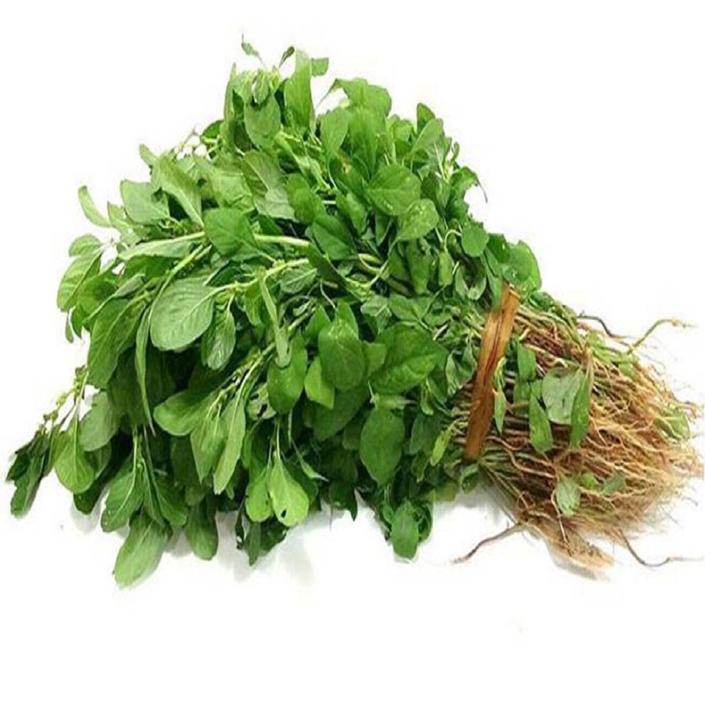ARAI KEERAI (AMARANTHUS ARITIS ) ARAI KEERAI (AMARANTHUS ARITIS )