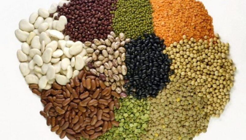 Multi Millet Seeds ( பல தானிய விதைப்பு ) Multi Millet Seeds ( பல தானிய விதைப்பு )