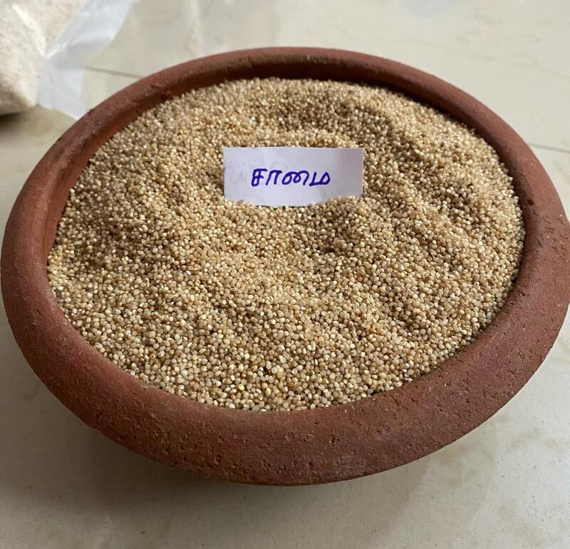 சாமை 500 G | Little Millet 500 G