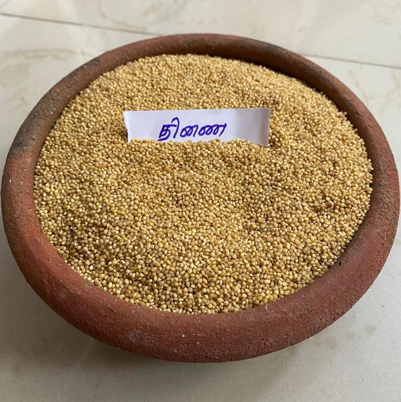 திணை 500 G | Foxtail 500 G