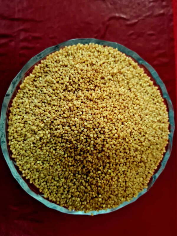 திணை 500 G | Foxtail 500 G