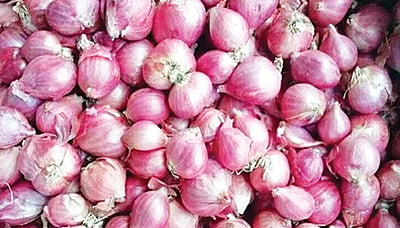 சின்ன வெங்காயம் | Small onion