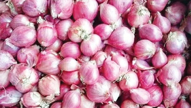 சின்ன வெங்காயம் | Small onion சின்ன வெங்காயம் | Small onion