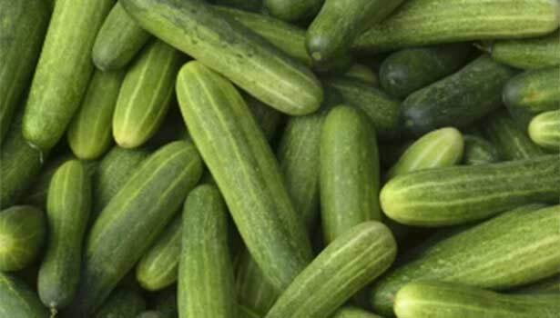 தோசைக்காய் உருட்டு வெள்ளரி தோசைக்காய் உருட்டு வெள்ளரி