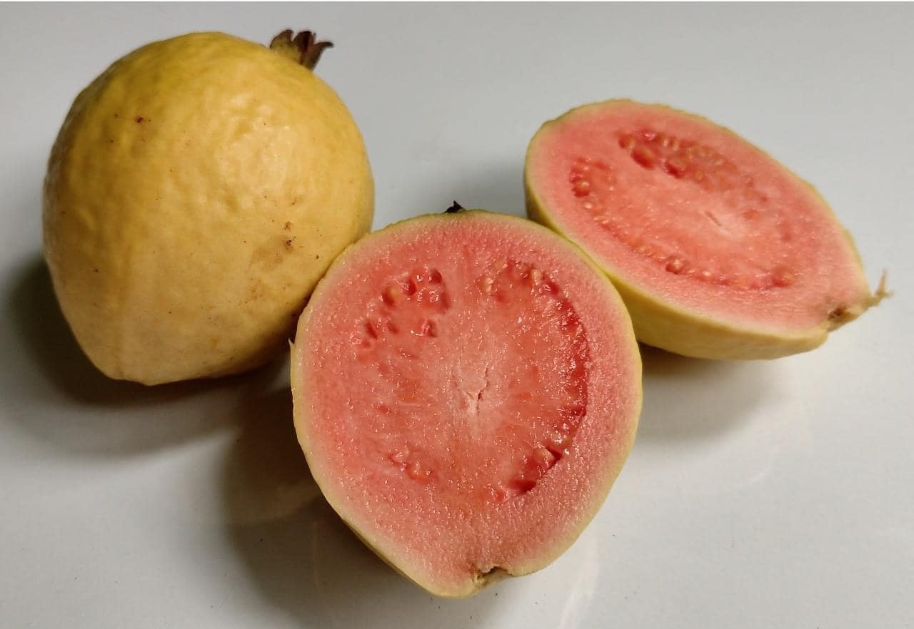 Guava Seeds Red Color Guava Seeds Red Color