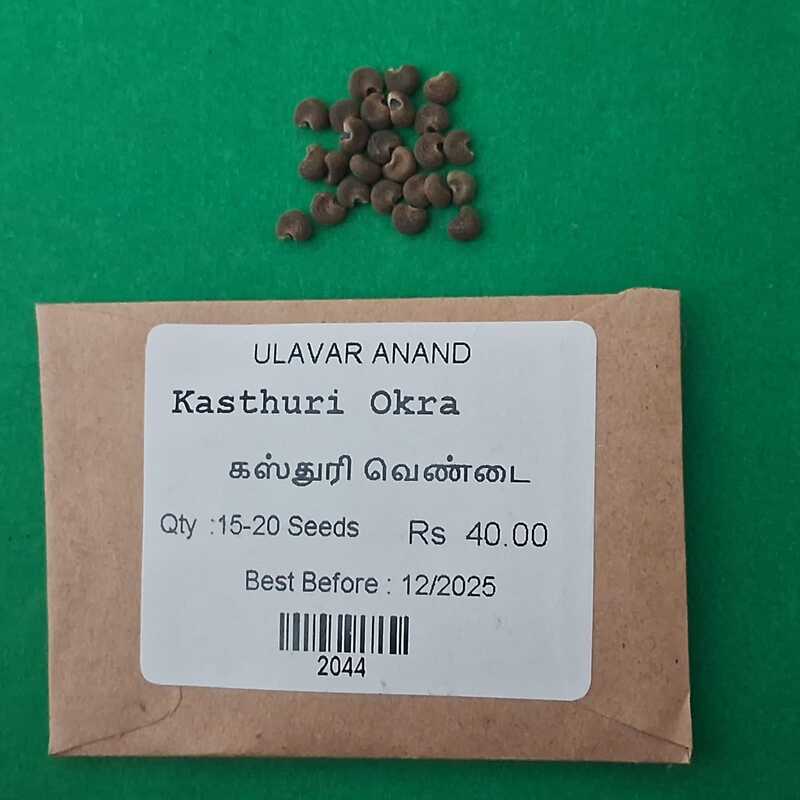 Kasthuri Okra( கஸ்துரி வெண்டை) Kasthuri Okra( கஸ்துரி வெண்டை)