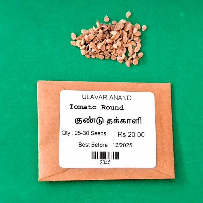 Tomoto Seeds (குண்டு தக்காளி) Tomoto Seeds (குண்டு தக்காளி)