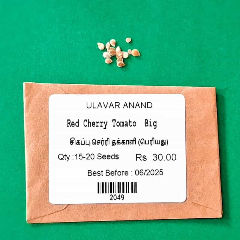 RED CHERRY TOMOTTO- BIG ( சிகப்பு செர்ரி தக்காளி - big) RED CHERRY TOMOTTO- BIG ( சிகப்பு செர்ரி தக்காளி - big)