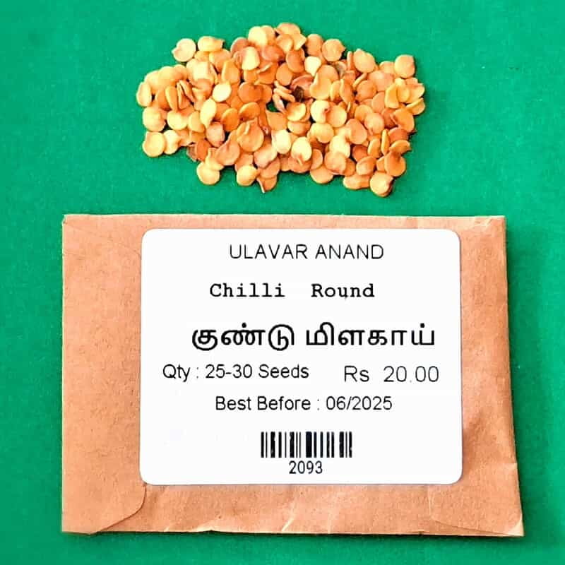ROUND CHILLI (குண்டு மிளகாய்) ROUND CHILLI (குண்டு மிளகாய்)