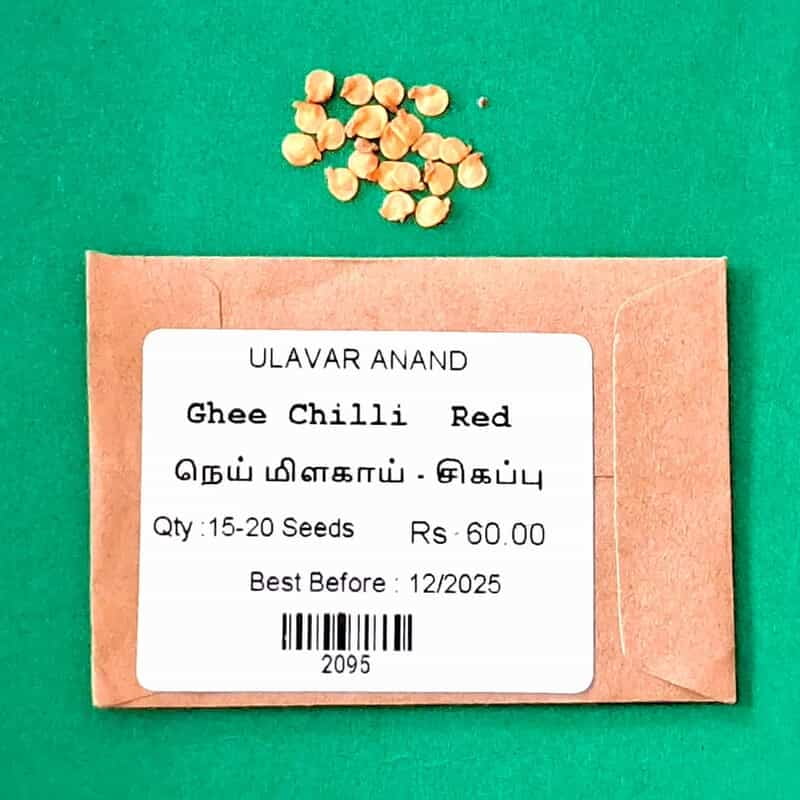 Ghee Chilli Red | நெய் மிளகாய் சிகப்பு Ghee Chilli Red | நெய் மிளகாய் சிகப்பு