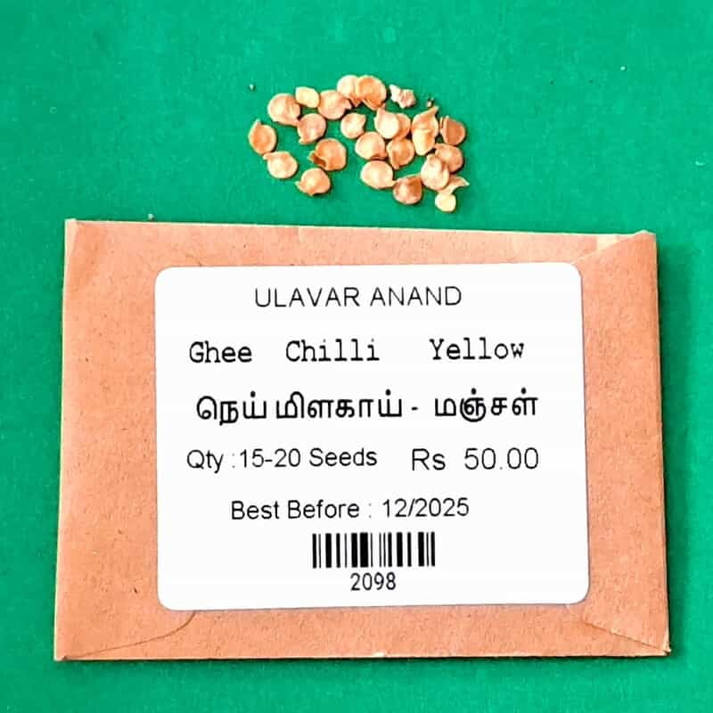 Ghee Chilli Yellow | நெய் மிளகாய் மஞ்சள் Ghee Chilli Yellow | நெய் மிளகாய் மஞ்சள்