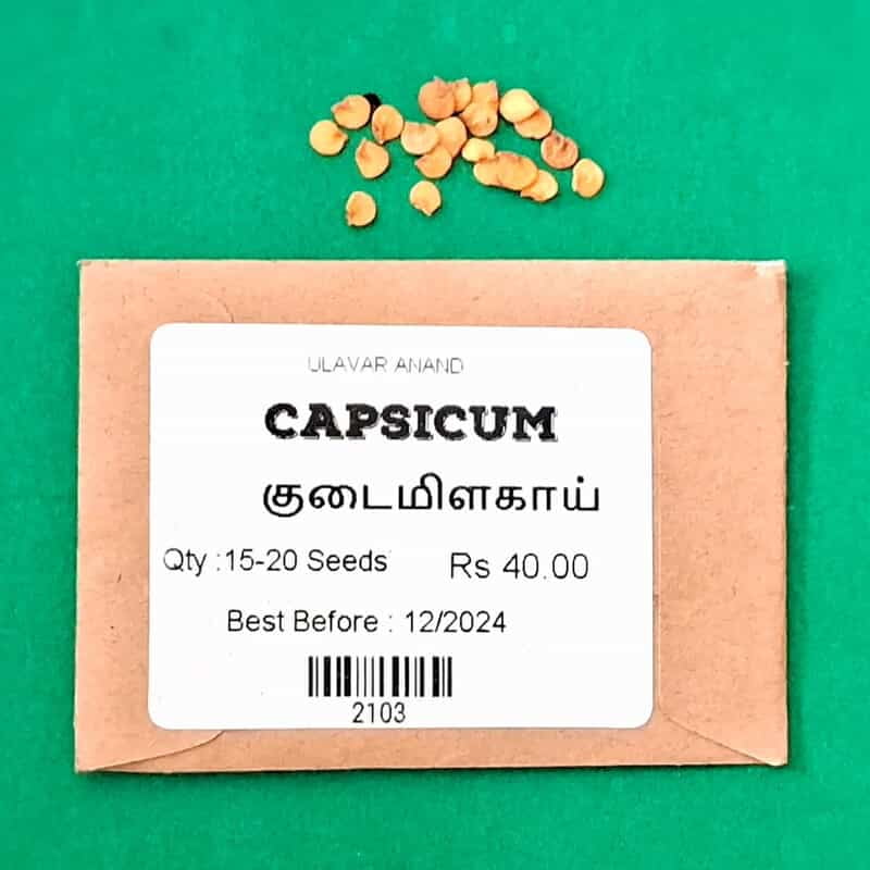 Capsicum | குடை மிளகாய் Capsicum | குடை மிளகாய்