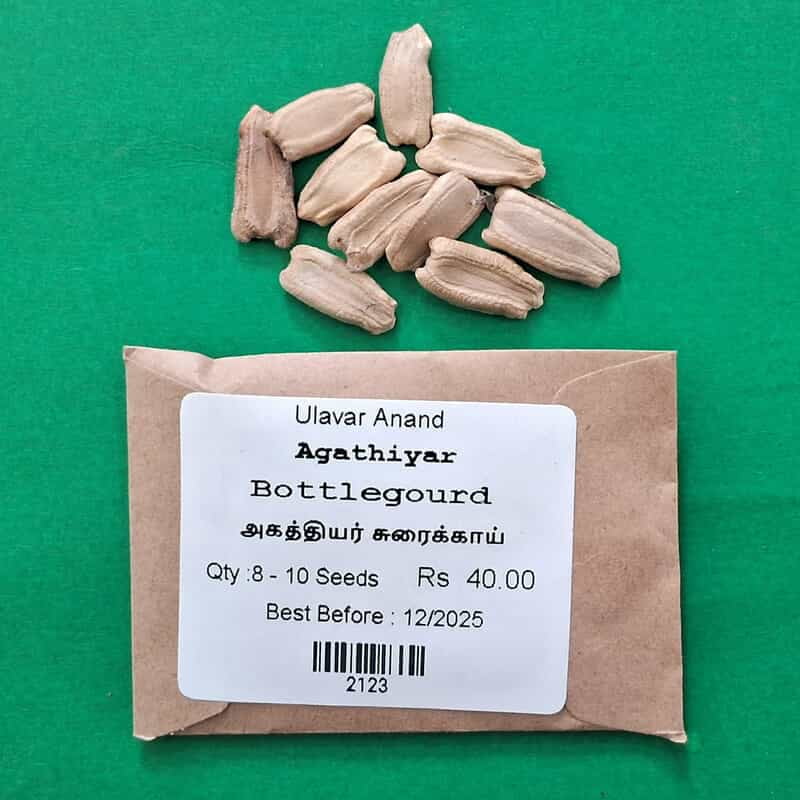 Agathiyar Bottlegourd ( அகத்தியர் சுரைக்காய்) Agathiyar Bottlegourd ( அகத்தியர் சுரைக்காய்)