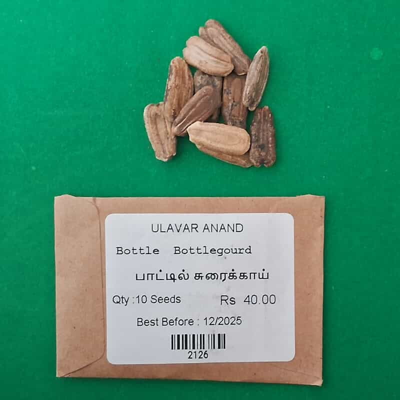 Bottle - Bottle gourd ( பாட்டில் சுரைக்காய் ) Bottle - Bottle gourd ( பாட்டில் சுரைக்காய் )