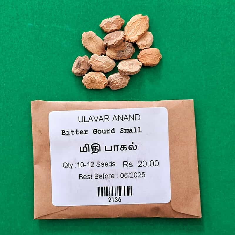 MITHI PAGAL SHORT BITTER GOURD (மிதி பாகல்) MITHI PAGAL SHORT BITTER GOURD (மிதி பாகல்)