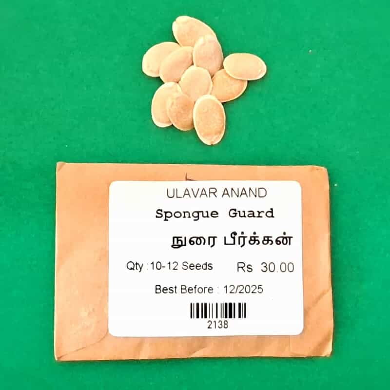 Spounge gourd ( நுரை பீர்க்கங்காய் ) Spounge gourd ( நுரை பீர்க்கங்காய் )