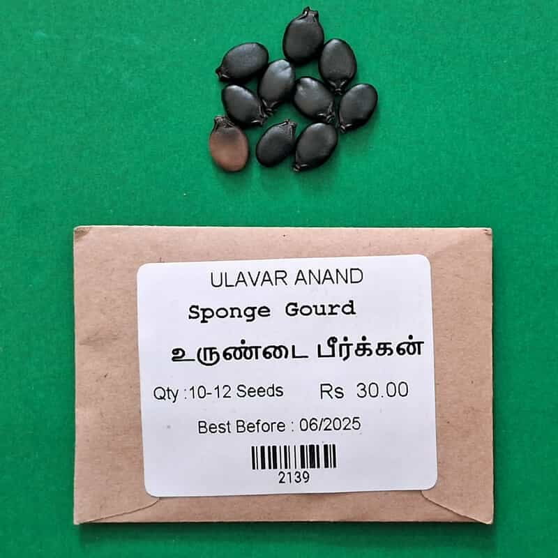 Sponge Gourd( உருண்டை பீர்க்கன் ) Sponge Gourd( உருண்டை பீர்க்கன் )