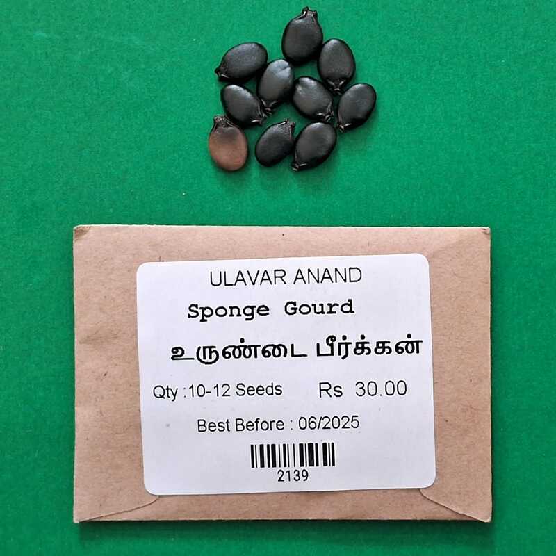 Sponge Gourd( உருண்டை பீர்க்கன் ) Sponge Gourd( உருண்டை பீர்க்கன் )