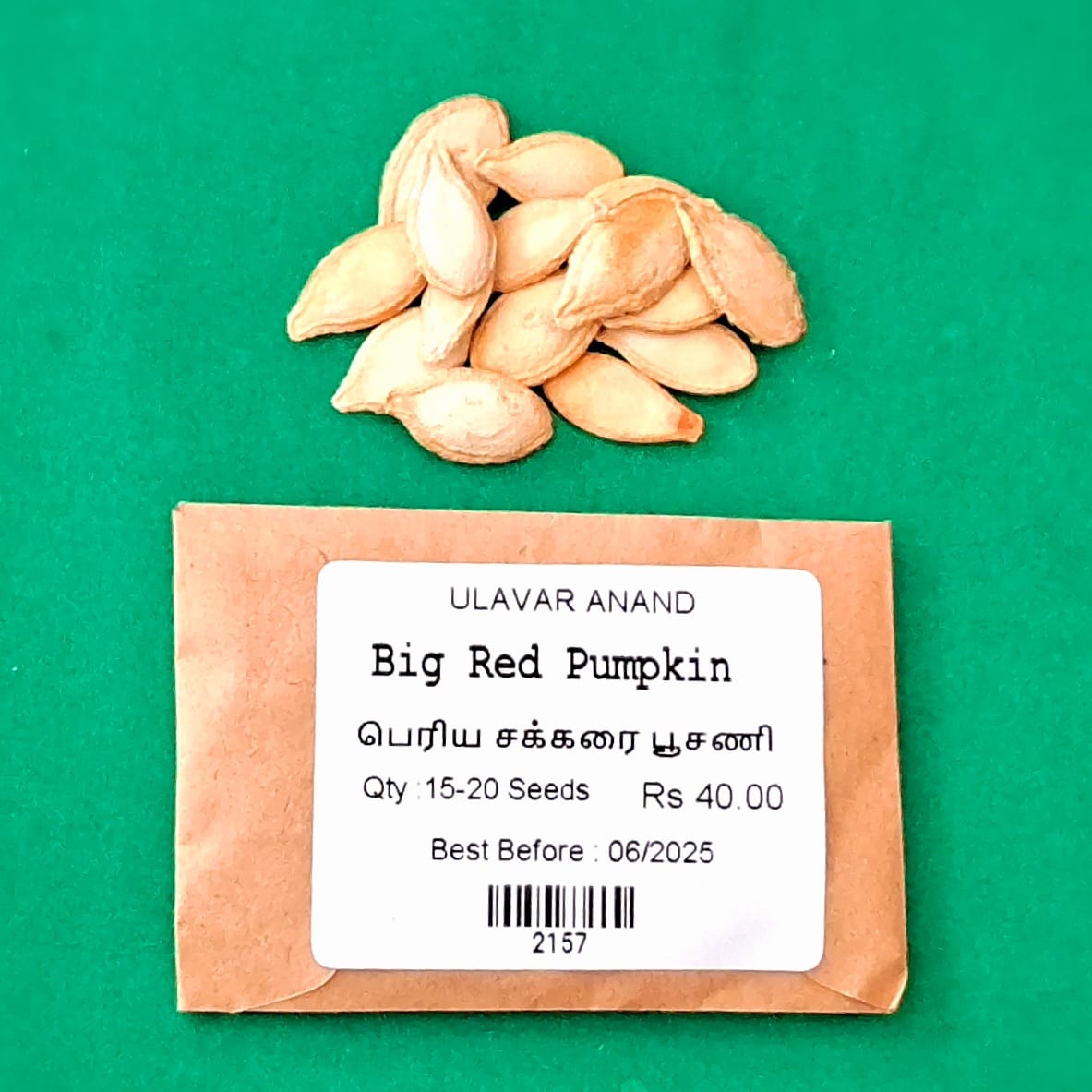 Big Red Pumpkin ( பெரிய சக்கரை பூசணி )