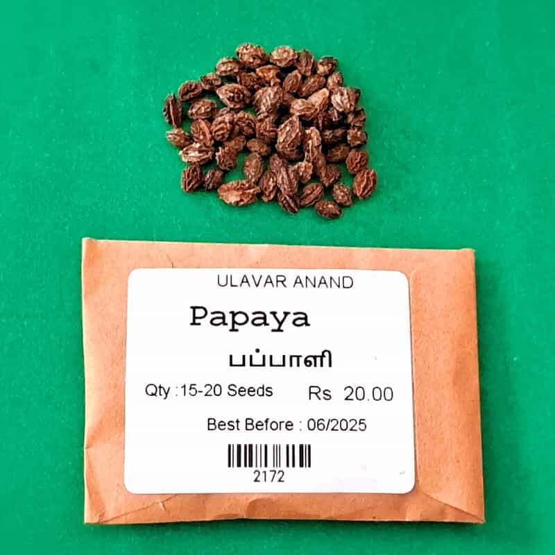 PAPPAYA (பப்பாளி) PAPPAYA (பப்பாளி)