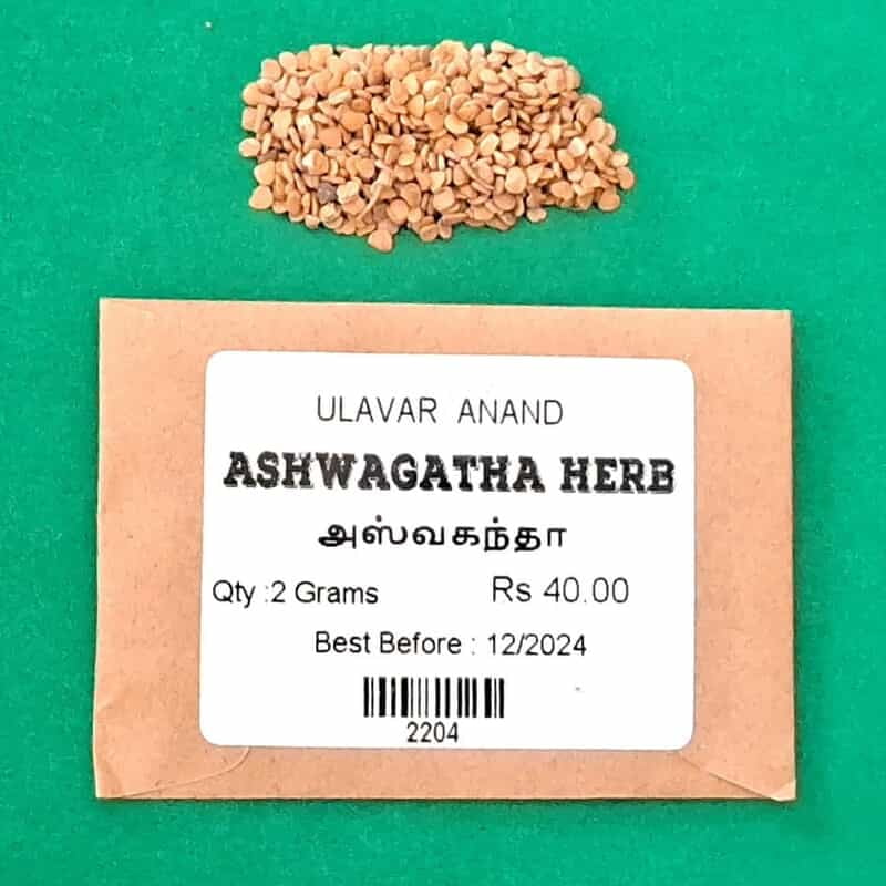 Ashwagandha Herb (அஸ்வகந்தா ) Ashwagandha Herb (அஸ்வகந்தா )