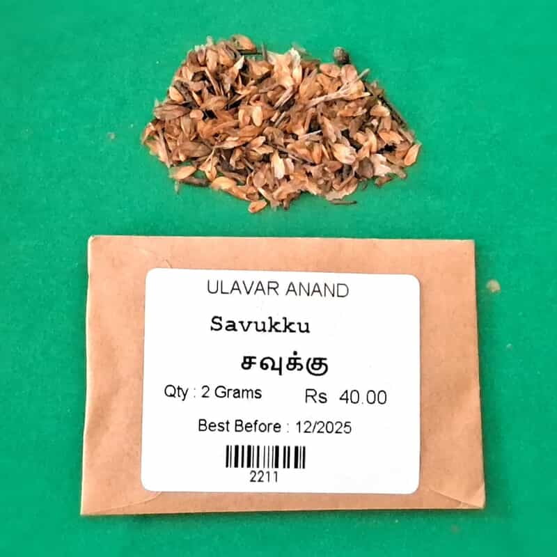 savukku | Casuarina Tree (சவுக்கு) savukku | Casuarina Tree (சவுக்கு)