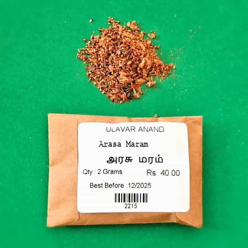 Arasa Maram | Pipal Tree (அரசமரம்) Arasa Maram | Pipal Tree (அரசமரம்)