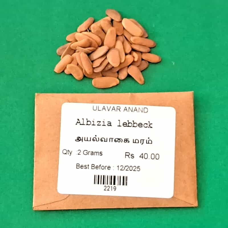 Albizia lebbeck (அயல் வாகை) Albizia lebbeck (அயல் வாகை)