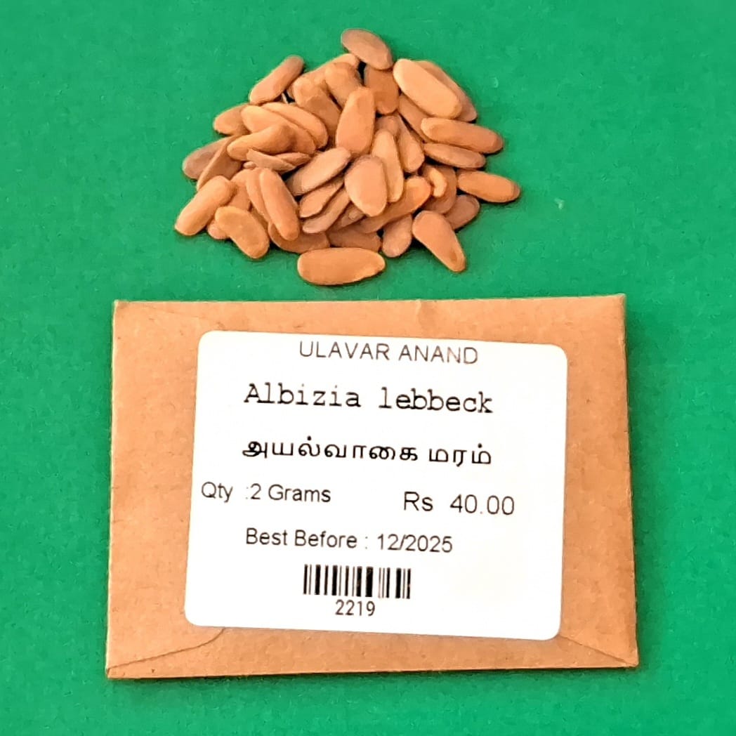 Albizia lebbeck (அயல் வாகை) Albizia lebbeck (அயல் வாகை)