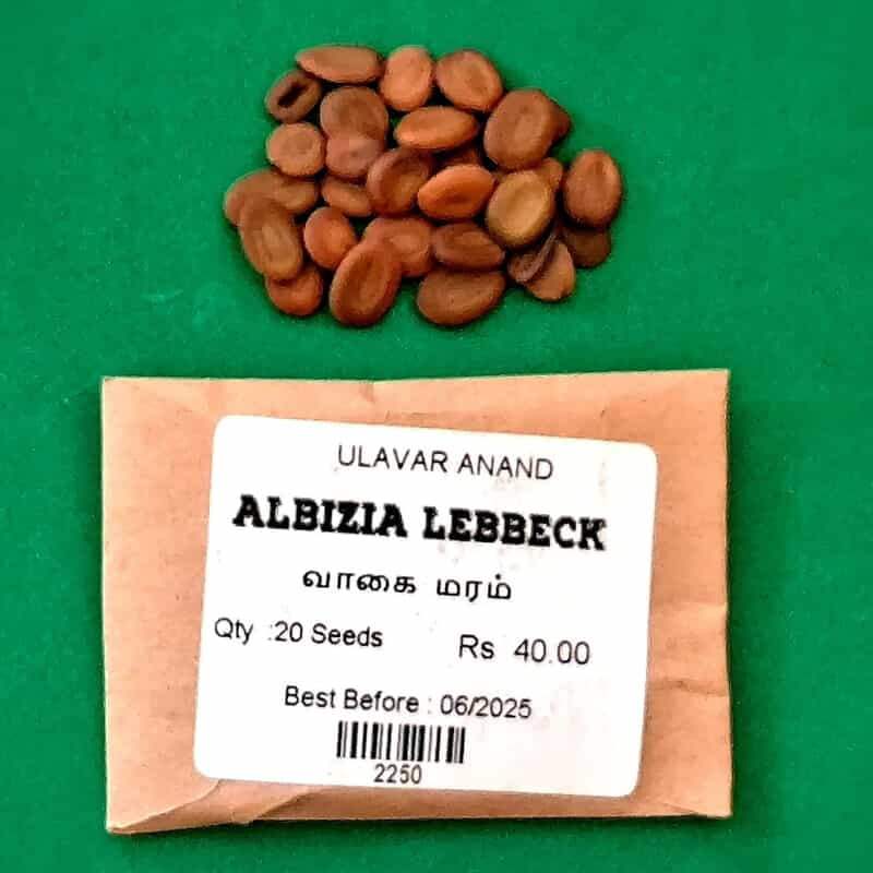 Albizia lebbeck (வாகை மரம் ) Albizia lebbeck (வாகை மரம் )