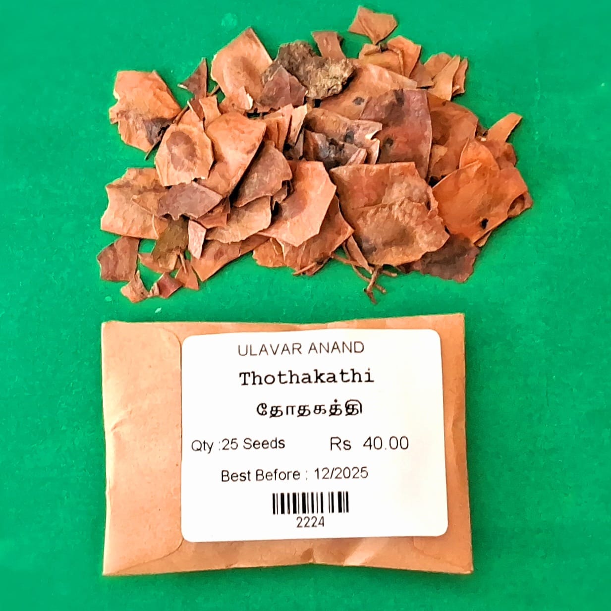 Thothakathi | Indian Rosewood Tree (தோதகத்தி ) Thothakathi | Indian Rosewood Tree (தோதகத்தி )