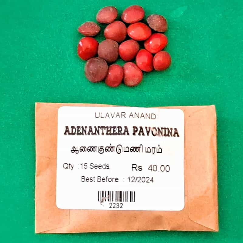 Adenanthera pavonina (ஆணை குண்டுமணி ) Adenanthera pavonina (ஆணை குண்டுமணி )