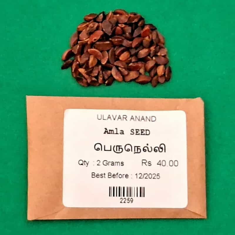 Amla (பெருநெல்லி ) Amla (பெருநெல்லி )