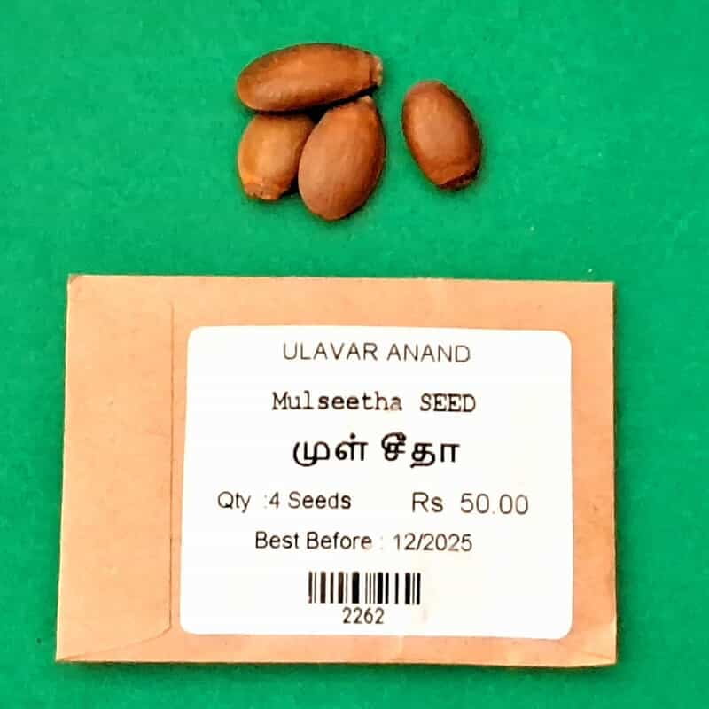 Mull Seetha | முள் சீத்தா Mull Seetha | முள் சீத்தா
