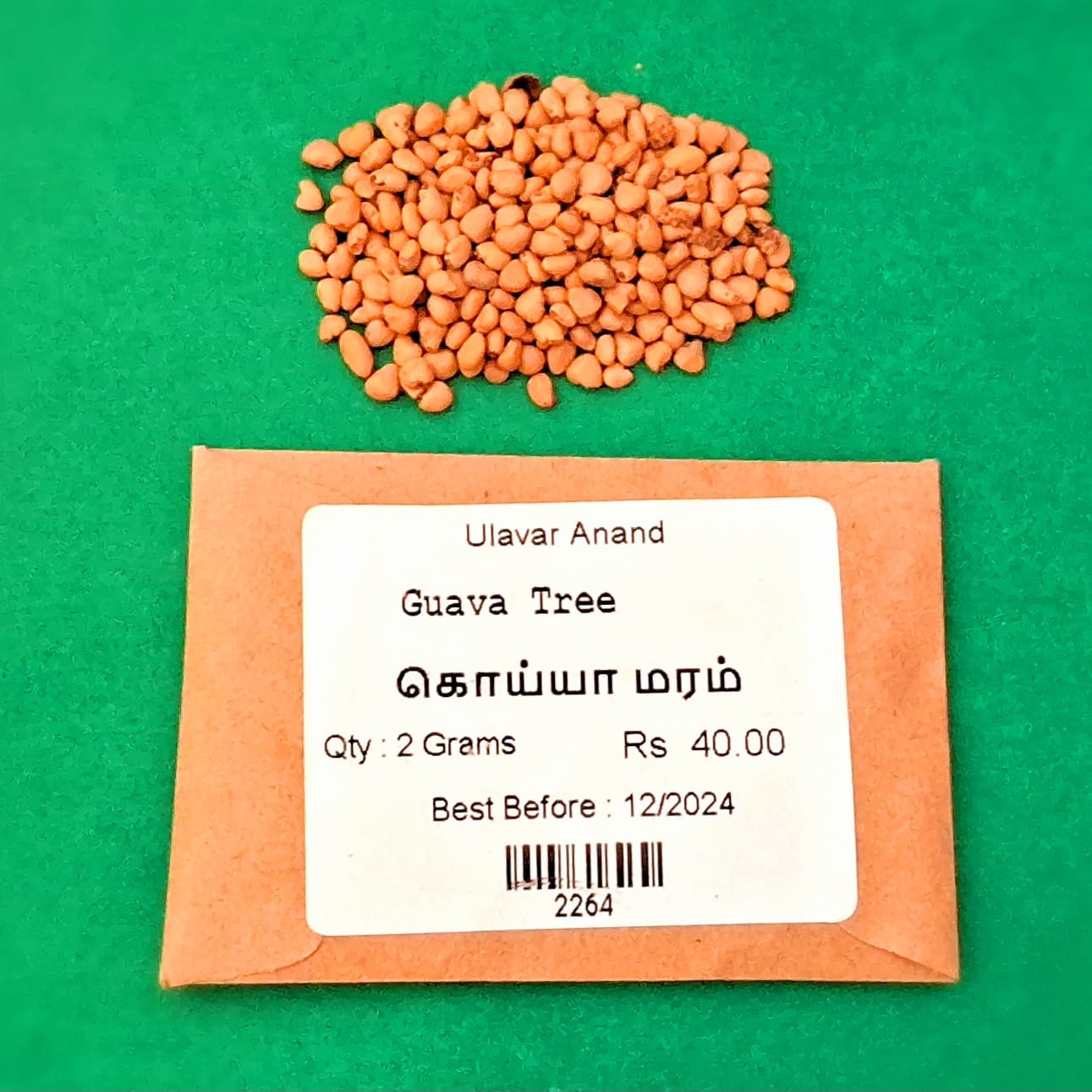 Koyya Maram | Guava Tree(கொய்யா மரம்) Koyya Maram | Guava Tree(கொய்யா மரம்)