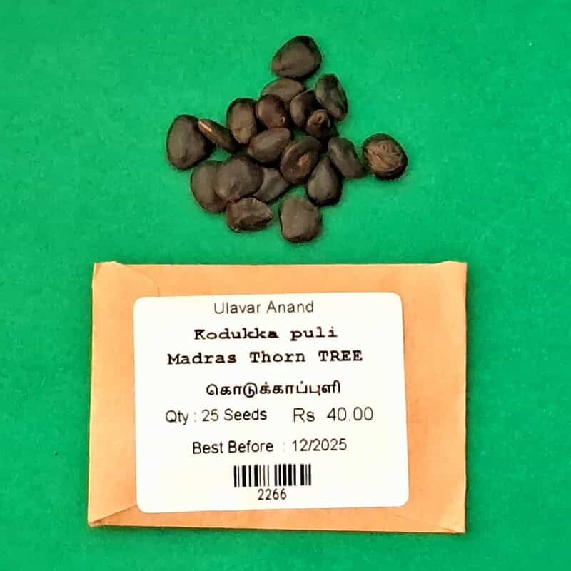Kodukka puli | Madras Thorn (கொடுக்காப்புளி ) Kodukka puli | Madras Thorn (கொடுக்காப்புளி )