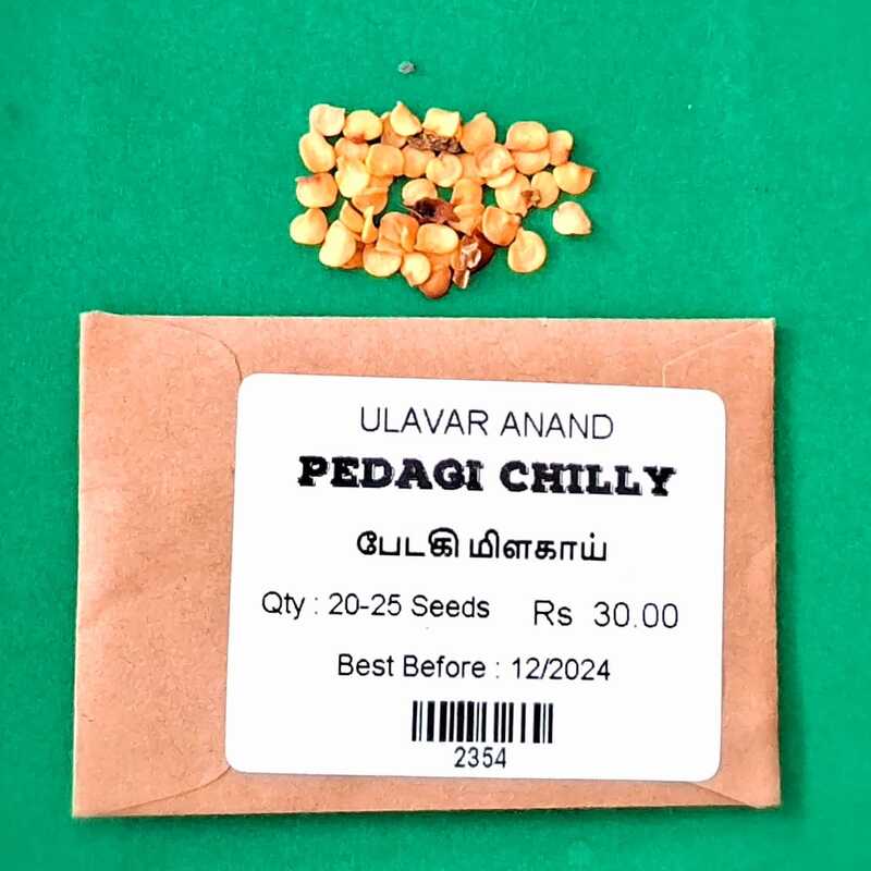 பேடகி மிளகாய் | Pedagi Chilly