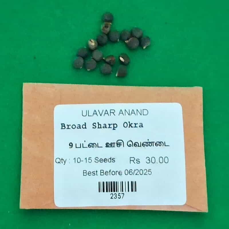 9 பட்டை ஊசி வெண்டை | Broad Sharp Okra