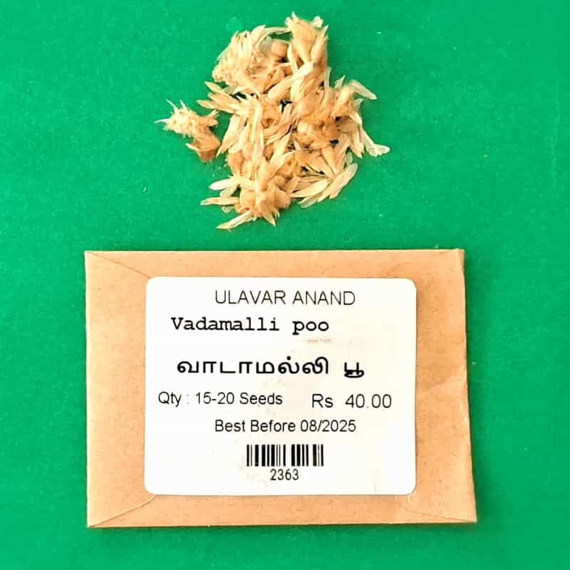 வாடாமல்லி  பூ | Vadamalli poo