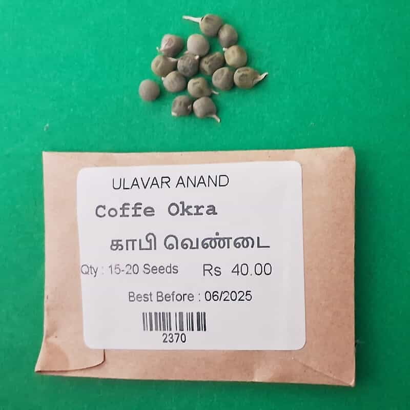 காபி வெண்டை | Coffe Okra