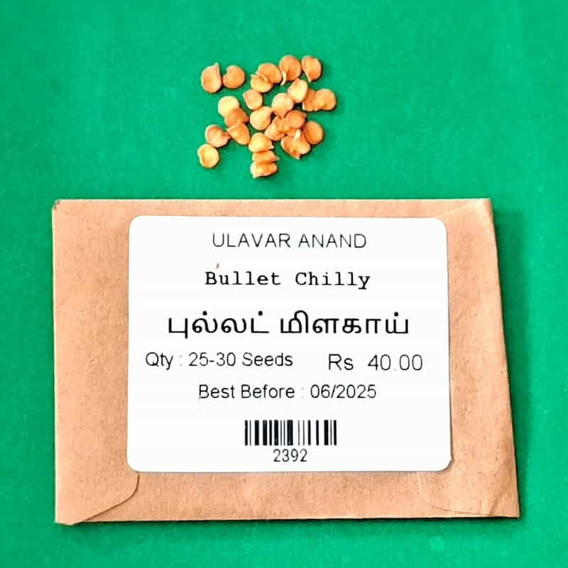 புல்லட் மிளகாய் | Bullet Chilly