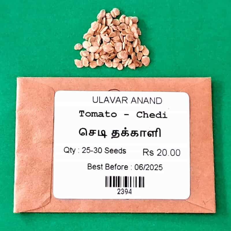 செடி தக்காளி | Tomato - Chedi