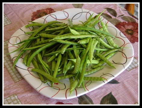 KOTHAVARAI - CLUSTER BEANS KOTHAVARAI - CLUSTER BEANS