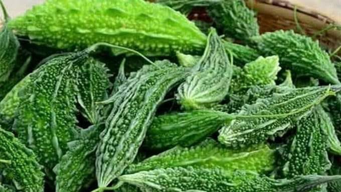 BITTER GOURD PAGARKAI (பாகற்காய்) BITTER GOURD PAGARKAI (பாகற்காய்)