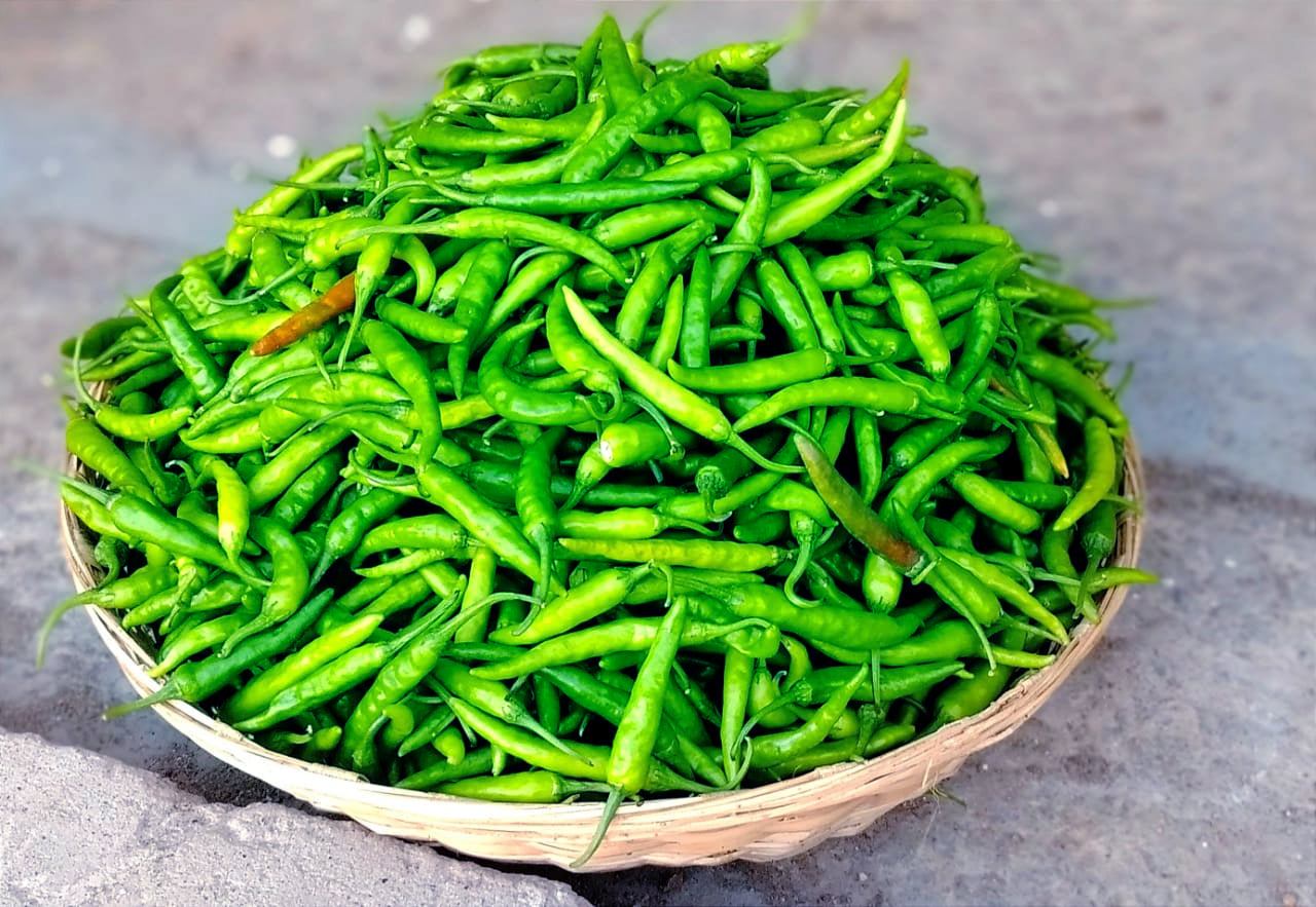 LONG CHILLI (நீள சம்பா மிளகாய்) LONG CHILLI (நீள சம்பா மிளகாய்)