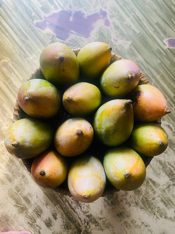 Mango - Kilimooku 1kg Mango - Kilimooku 1kg