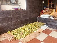 Mango - Kilimooku 5kg