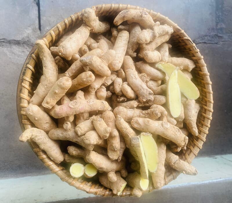 Mango Ginger Seed Mango Ginger Seed