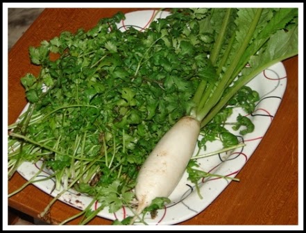 WHITE RADDISH WHITE RADDISH